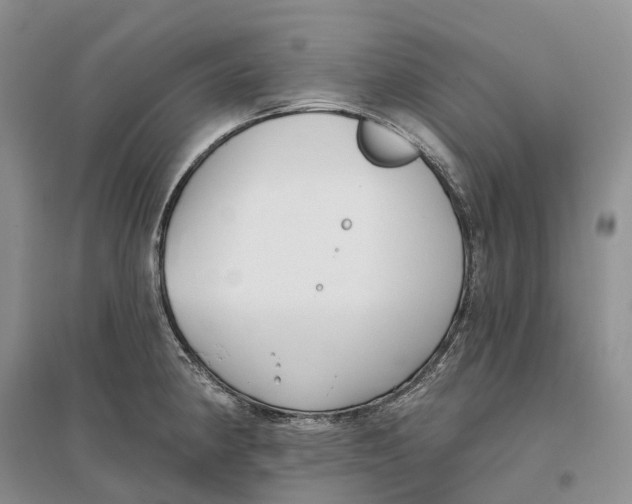 X0000096721190200802261646