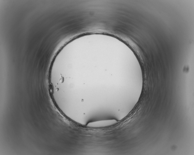 X0000096721191200802261646