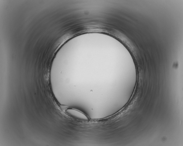 X0000096721193200802261646