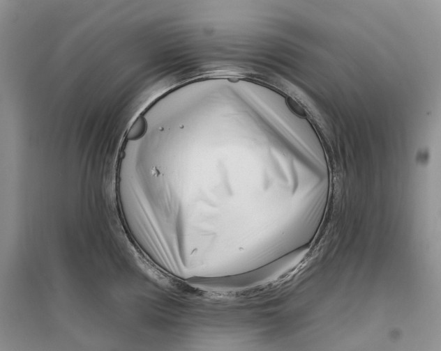 X0000096721194200802261646