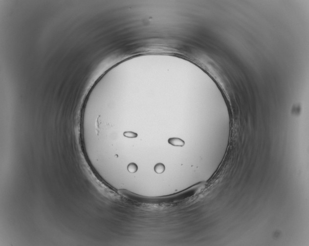 X0000096721195200802261646