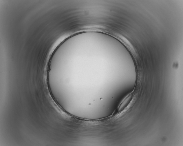 X0000096721196200802261646