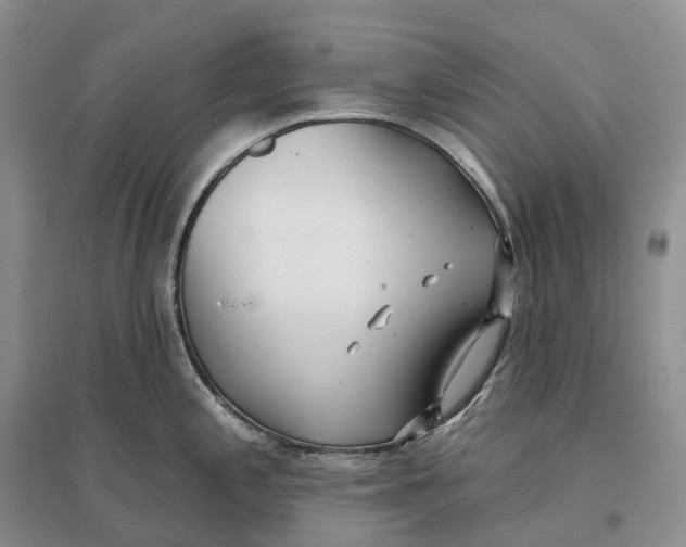 X0000096721197200802261646