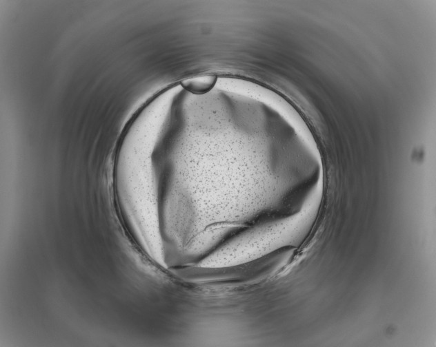 X0000096721198200802261646