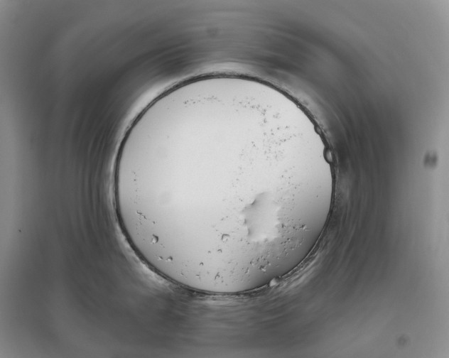 X0000096721199200802261646