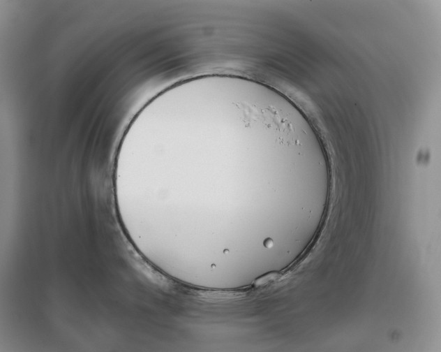 X0000096721200200802261646