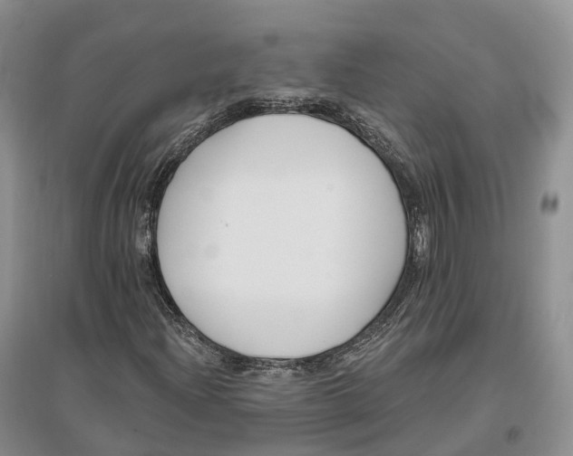 X0000096721204200802261645