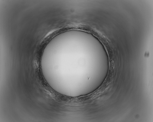 X0000096721206200802261645