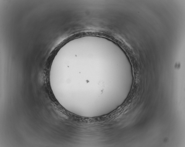 X0000096721208200802261645