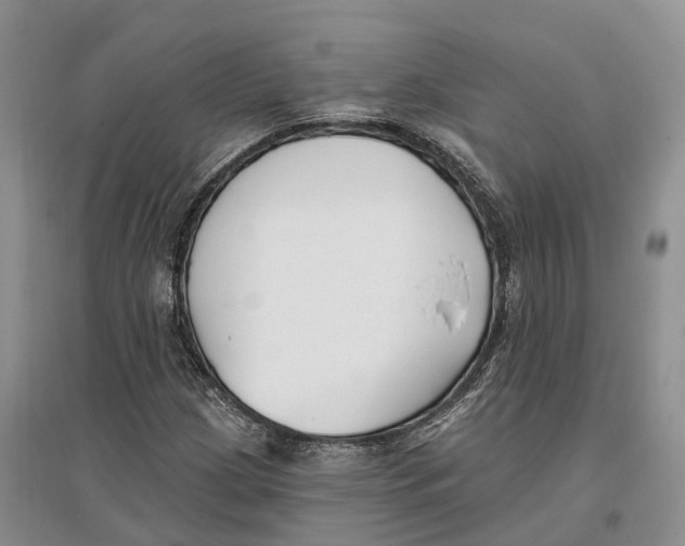 X0000096721209200802261645