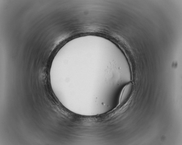 X0000096721210200802261645