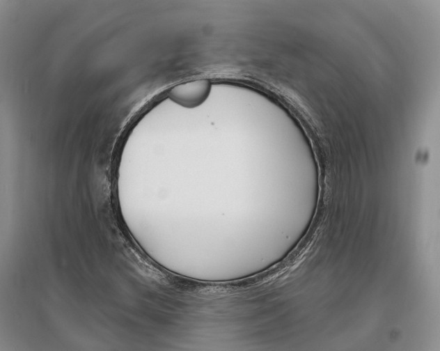 X0000096721212200802261645