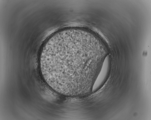 X0000096721213200802261645