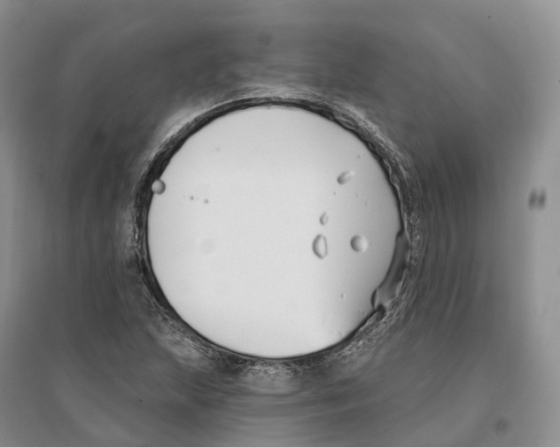 X0000096721215200802261645