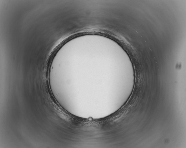 X0000096721216200802261645