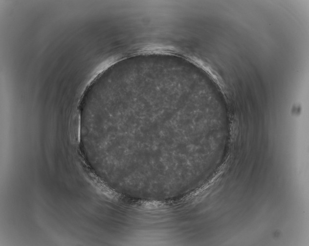 X0000096721219200802261645