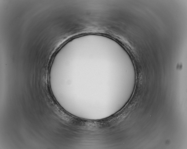 X0000096721220200802261645