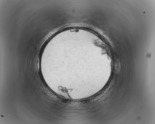 X0000096721221200802261645