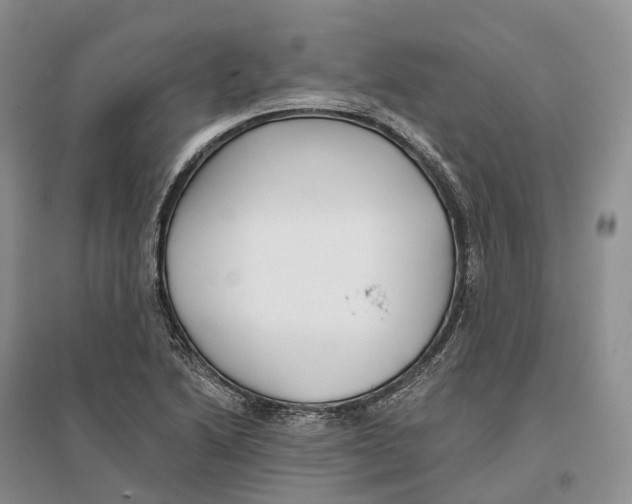 X0000096721222200802261645