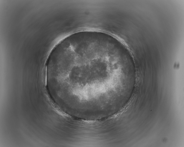 X0000096721223200802261645