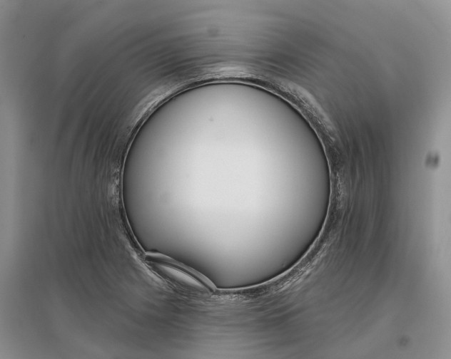 X0000096721225200802261645