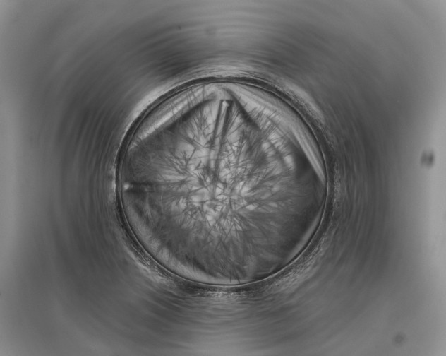 X0000096721226200802261645