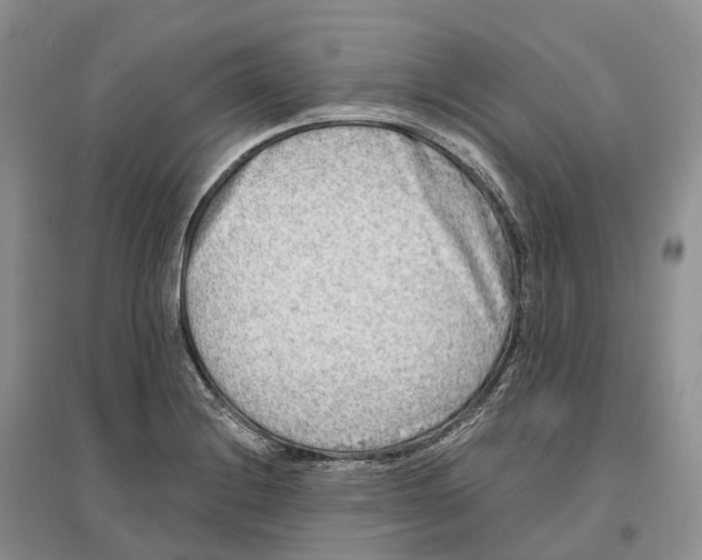 X0000096721228200802261645