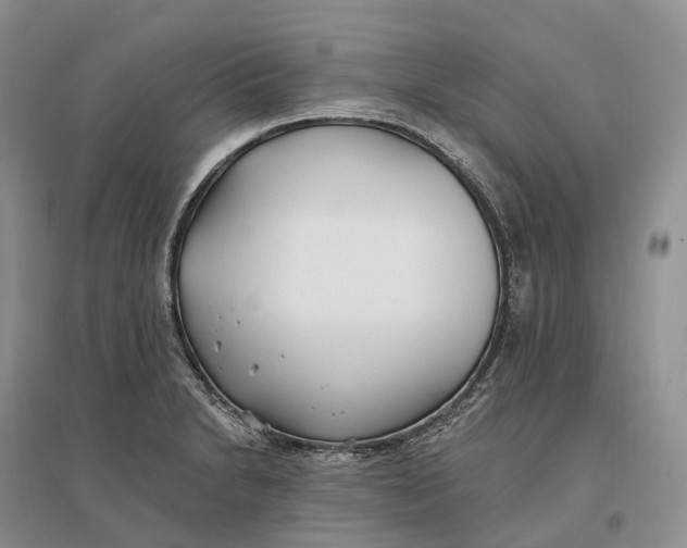 X0000096721230200802261645