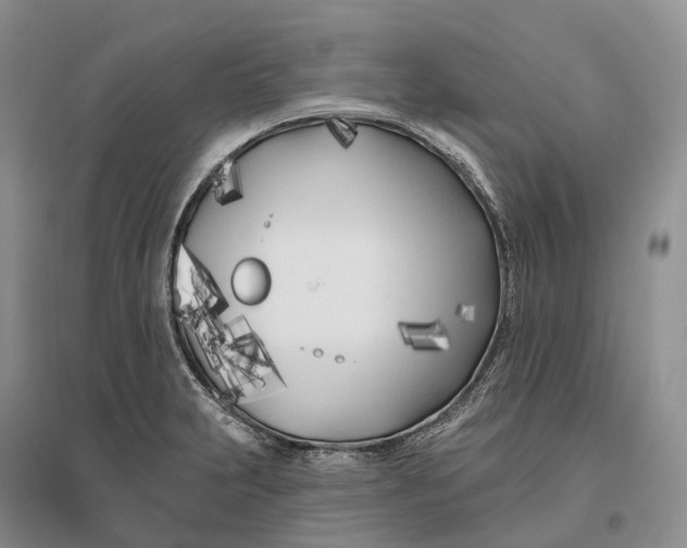 X0000096721231200802261645