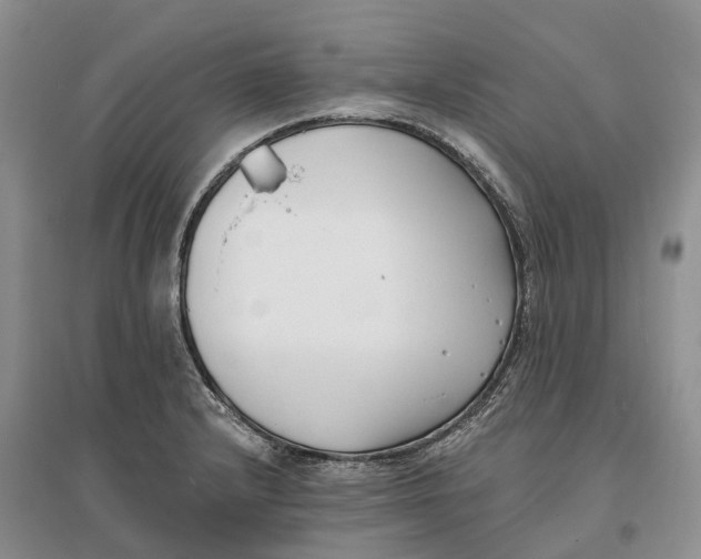 X0000096721232200802261645