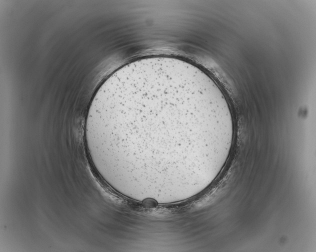 X0000096721233200802261645