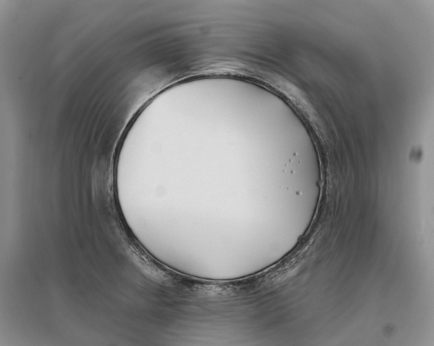 X0000096721234200802261645