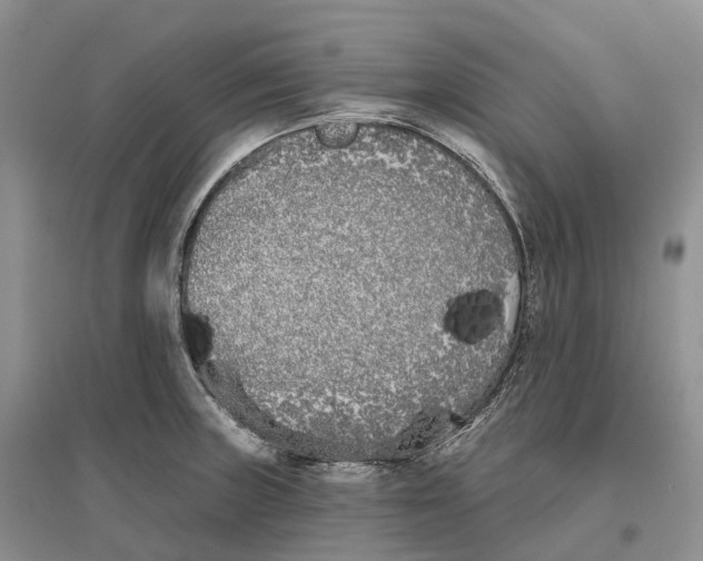 X0000096721235200802261645