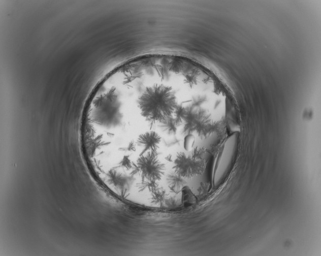 X0000096721237200802261646