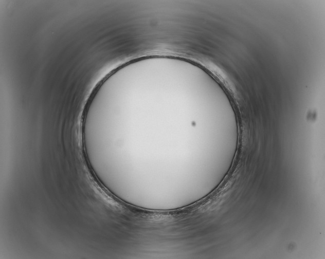 X0000096721238200802261646