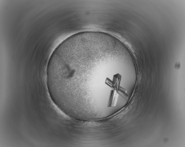 X0000096721239200802261646