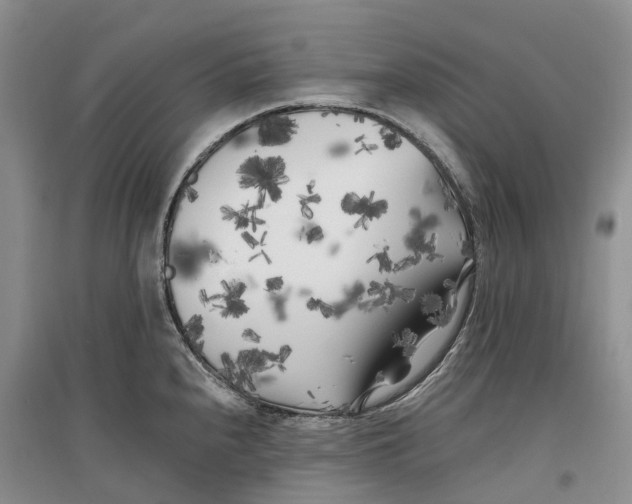 X0000096721240200802261646