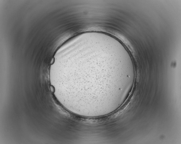 X0000096721241200802261646