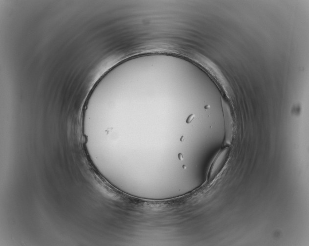 X0000096721242200802261646