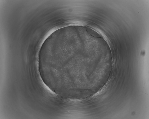 X0000096721243200802261646