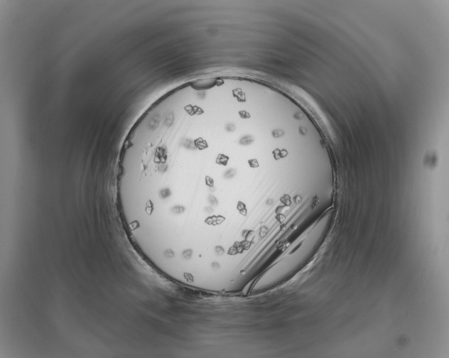 X0000096721244200802261646