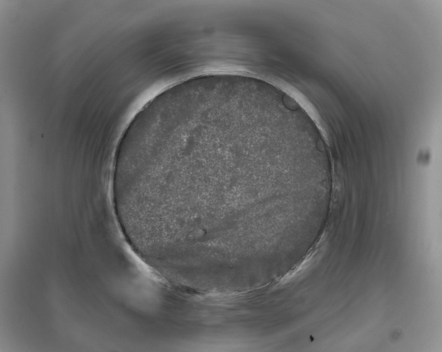 X0000096721245200802261646