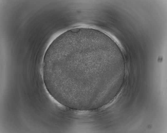 X0000096721247200802261646