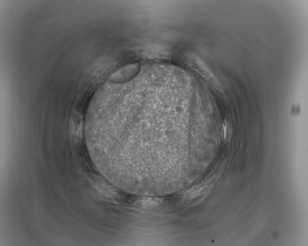 X0000096721251200802261645