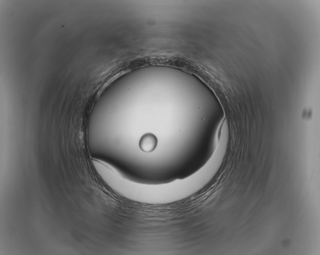 X0000096721252200802261645