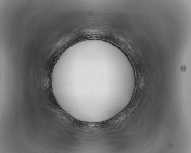 X0000096721253200802261645