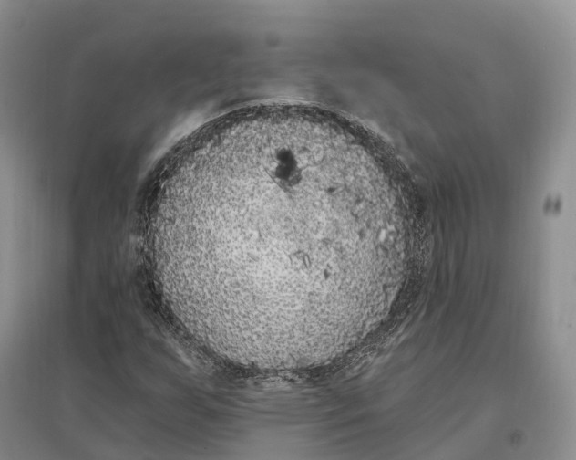 X0000096721255200802261645