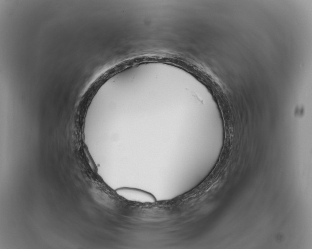 X0000096721256200802261645