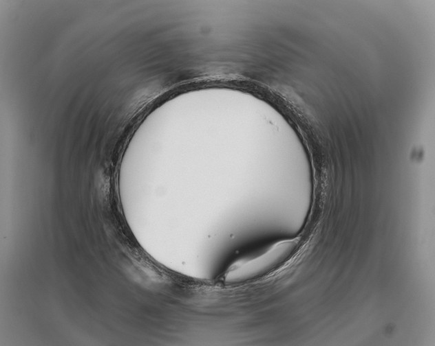 X0000096721257200802261645