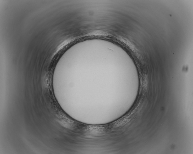 X0000096721258200802261645